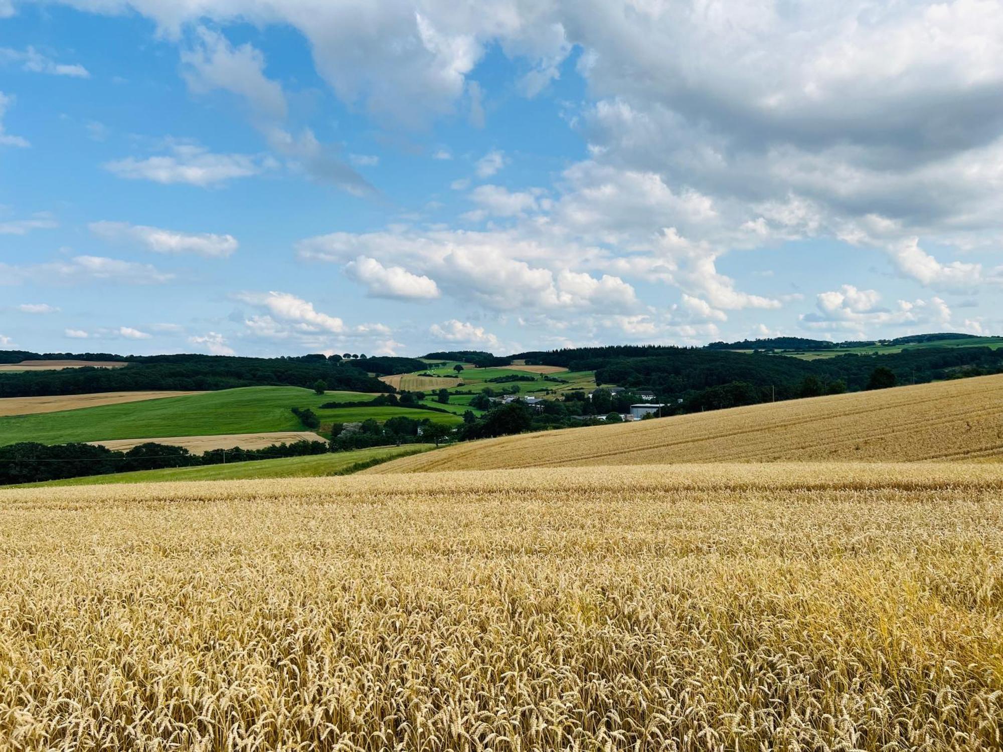 Ferienwohnung In Der Schoenen Eifel! Mechernich Εξωτερικό φωτογραφία